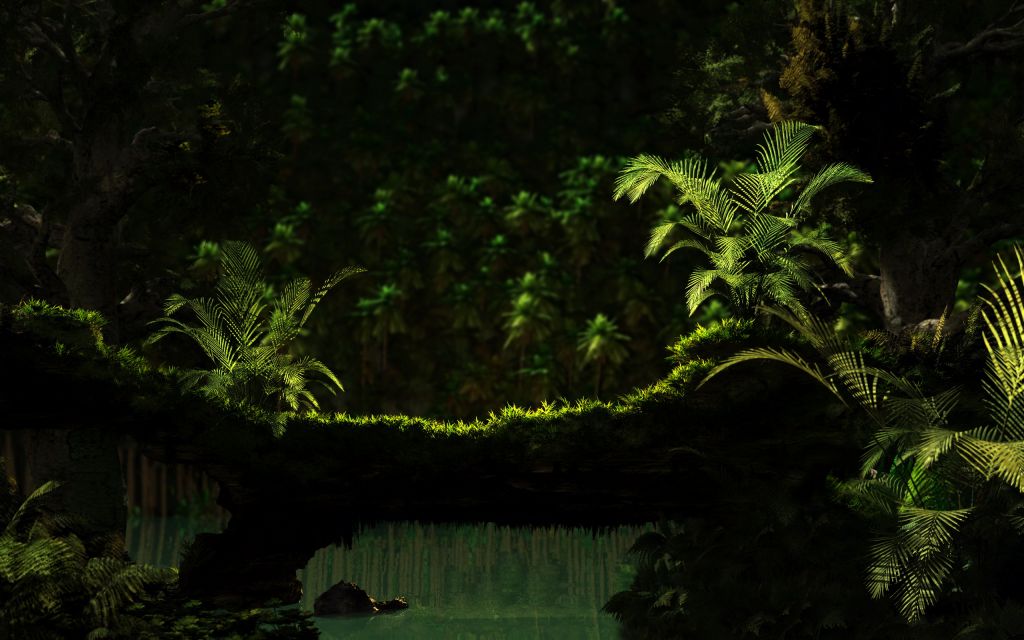 hd-jungle-desktop-backgrounds-09